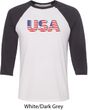 USA 3D Mens Raglan Shirt