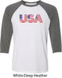 USA 3D Mens Raglan Shirt