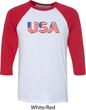 USA 3D Mens Raglan Shirt