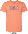 USA 3D Mens Tri Blend V-neck Shirt