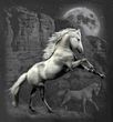 White Horse in the Wilderness Adult T-shirt - Black