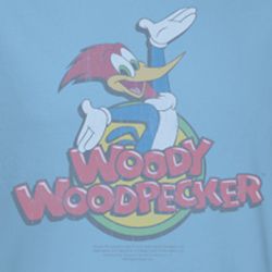 Woody Woodpecker Retro Fade Shirts
