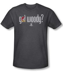 Woody Woodpecker Shirt Got Woody Adult Heather Charcoal Tee T-Shirt
