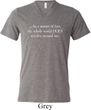 World Revolves Around Me Mens Tri Blend V-neck Shirt