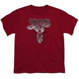 Yes Shirt Kids Beetle Cardinal T-Shirt