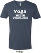 Yoga Cause Punching People is Frowned Upon Mens V-Neck Shirt