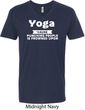 Yoga Cause Punching People is Frowned Upon Mens V-Neck Shirt