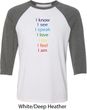 Yoga Chakra Words Mens Raglan Shirt