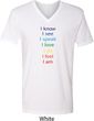 Yoga Chakra Words Mens V-Neck Shirt