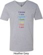 Yoga Chakra Words Mens V-Neck Shirt