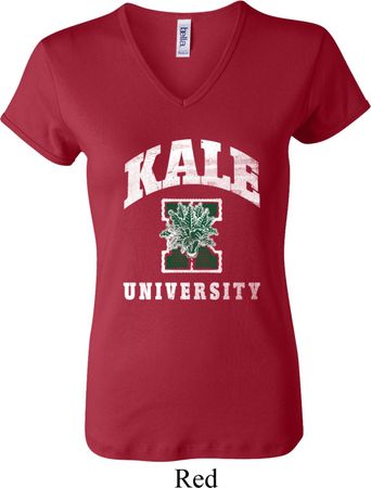 Yoga Kale University Darks Ladies V-neck Shirt