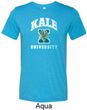 Yoga Kale University Darks Mens Tri Blend Crewneck Shirt