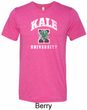 Yoga Kale University Darks Mens Tri Blend Crewneck Shirt