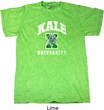 Yoga Kale University Darks Mineral Tie Dye Shirt