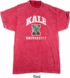 Yoga Kale University Darks Mineral Tie Dye Shirt