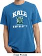 Yoga Kale University Darks Pigment Dyed Shirt