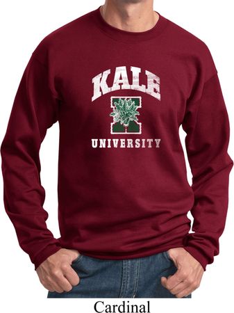 Yoga Kale University Darks Sweatshirt
