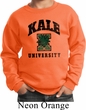Yoga Kale University Lights Kids Sweatshirt