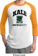 Yoga Kale University Lights Mens Raglan Shirt