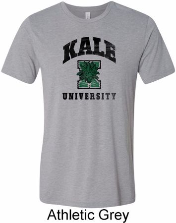 Yoga Kale University Lights Mens Tri Blend Crewneck Shirt