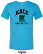 Yoga Kale University Lights Mens Tri Blend Crewneck Shirt