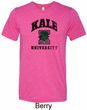 Yoga Kale University Lights Mens Tri Blend Crewneck Shirt