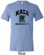 Yoga Kale University Lights Mens Tri Blend Crewneck Shirt