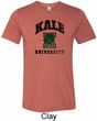 Yoga Kale University Lights Mens Tri Blend Crewneck Shirt