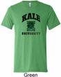 Yoga Kale University Lights Mens Tri Blend Crewneck Shirt