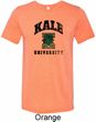 Yoga Kale University Lights Mens Tri Blend Crewneck Shirt