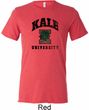 Yoga Kale University Lights Mens Tri Blend Crewneck Shirt