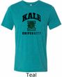 Yoga Kale University Lights Mens Tri Blend Crewneck Shirt