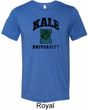 Yoga Kale University Lights Mens Tri Blend Crewneck Shirt