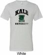 Yoga Kale University Lights Mens Tri Blend Crewneck Shirt