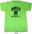Yoga Kale University Lights Mineral Tie Dye Shirt