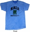 Yoga Kale University Lights Mineral Tie Dye Shirt