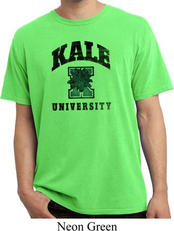 Yoga Kale University Lights Pigment Dyed Shirt