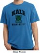 Yoga Kale University Lights Pigment Dyed Shirt