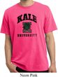 Yoga Kale University Lights Pigment Dyed Shirt
