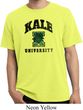 Yoga Kale University Lights Pigment Dyed Shirt