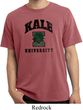 Yoga Kale University Lights Pigment Dyed Shirt