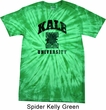 Yoga Kale University Lights Spider Tie Dye Shirt