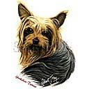 Yorkshire Terrier T-shirts