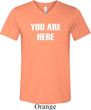 You Are Here Mens Tri Blend V-neck Shirt