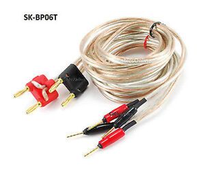 6ft CablesOnline 14AWG Speaker Wire Pair Banana Plug to 2-Pin Plug Audio Cables