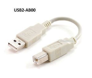6" USB 2.0 A-Type Male to B-Type Male Printer/ Scanner/etc Cable