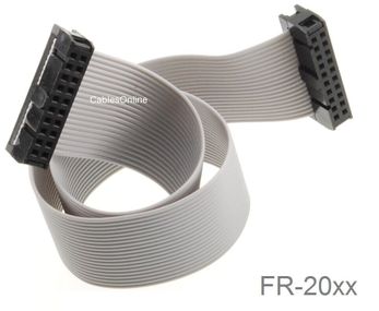 24in 20-Pin (2x10) Female to Female 2.54mm-Pitch 20-wire IDC Flat Ribbon Cable