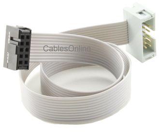 24in 10-Pin (2x5) 2.54mm-Pitch Male/Female 10-wire IDC Flat Ribbon Extension