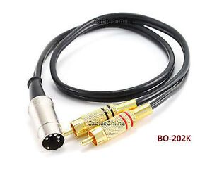 2ft 5-Pin DIN to 2-RCA Black Audio Cable