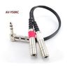 1ft CablesOnline Stereo Male to Dual 1/4" (Left/Right) Female Audio Cable